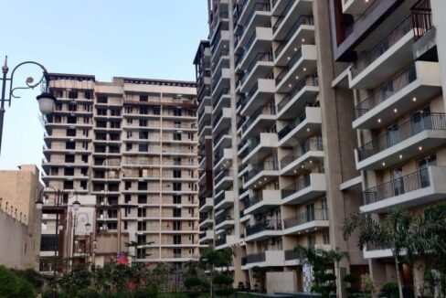 Aura Gazania Zirakpur, Chandigarh