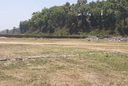 Investors Dhaulas Nature Farms Dhaulas Dehradun