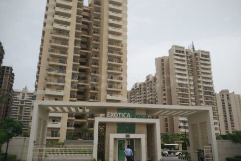 Flats for Sale in Exotica Fresco Sector 137 Noida