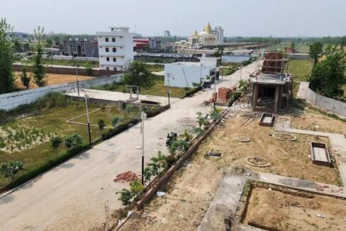 Hari Darshan Patanjali Yogpeeth Haridwar