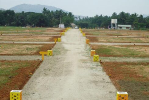 Rich Infra Bella Vista Dera Bassi Chandigarh