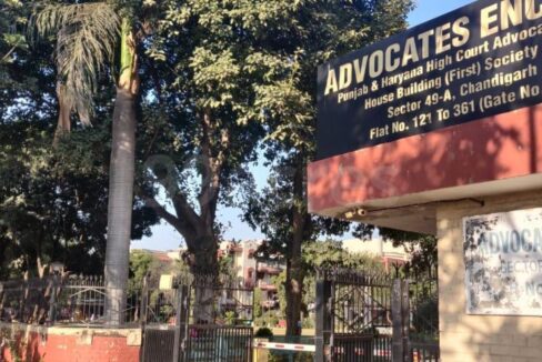 Advocates Society Sector 49 Chandigarh