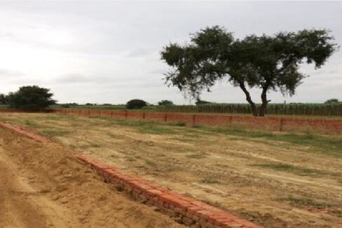 Adhaar Sai Dham Govindpuram Govind Puram Ghaziabad